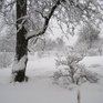 В предстоящий четверг в Приморье ожидается снег