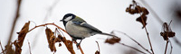 Ноябрь в Приморье в этом году богат на циклоны