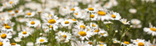 В выходные дни в Приморье будет жарко