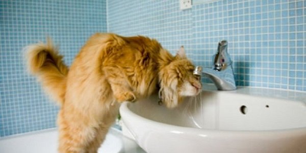 Во Владивостоке стартовал заключительный этап гидравлических испытаний