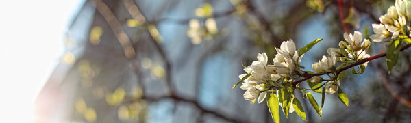 Чем дышал Владивосток с 11 по 19 апреля?