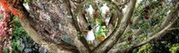 Вишневая беседка: Проект на 60 лет