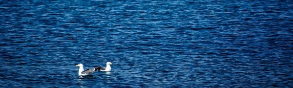 Наступившая неделя во Владивостоке будет теплее обычного