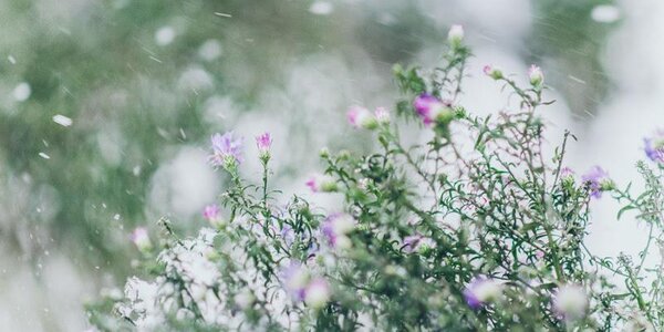 Не исключён слабый снег. Синоптики рассказали о погоде в Приморье 30 января