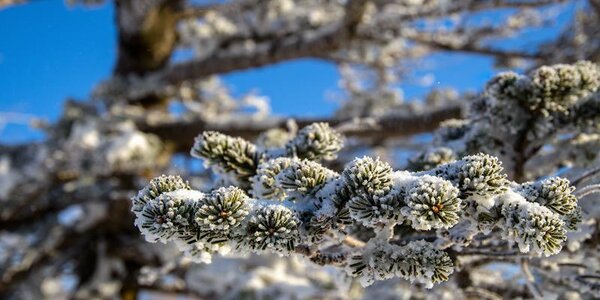 Синоптики рассказали, когда в Приморье придут «китайские морозы»