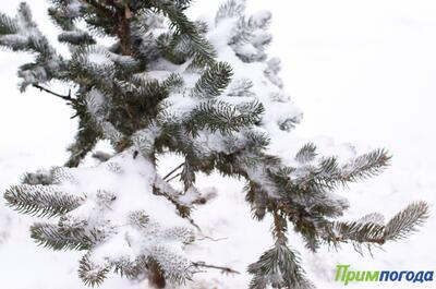 Синоптики подвели итоги февраля 2026 в Приморье