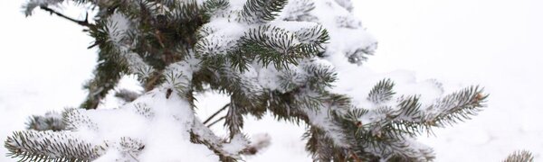 Синоптики подвели итоги февраля 2026 в Приморье