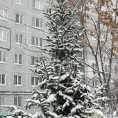 Снег во Владивостоке начнёт ослабевать к вечеру, но усилится ветер