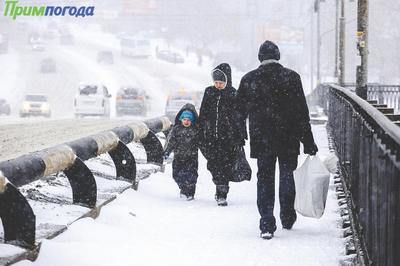 Власти Владивостока рекомендуют сократить рабочий день из-за снегопада