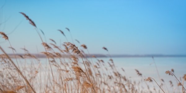 В Приморье пришли тимофеевские морозы