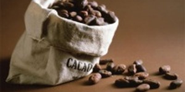 Эко-сумки из мешков для кофе покорили британских модниц