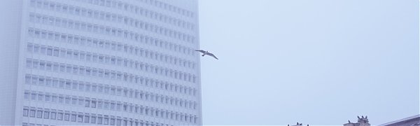 Чем дышал Владивосток с 1 по 9 февраля?