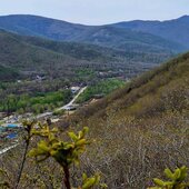 Май в Сихотэ-Алинском заповеднике: время леса одевать