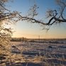 В новогодние каникулы в Приморье было морозно и сухо