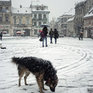 В Румынии впервые за 80 лет выпал октябрьский снег 