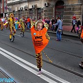 День Тигра: Полосатое шествие