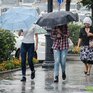 Дождливые выходные ждут приморцев