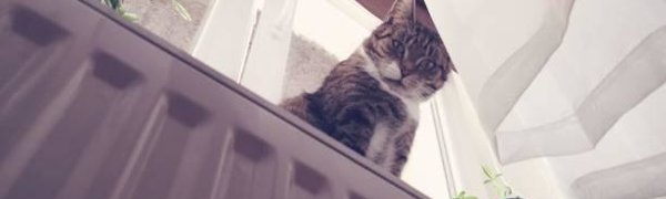 В Партизанске и Артёме завершается отопительный сезон