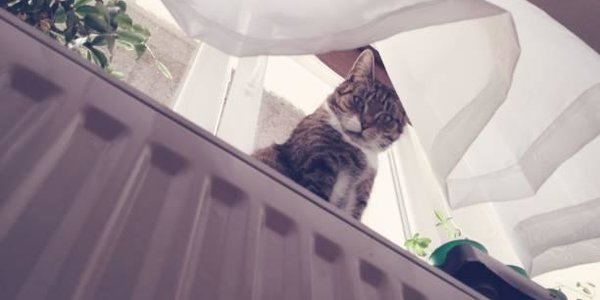 В Партизанске и Артёме завершается отопительный сезон