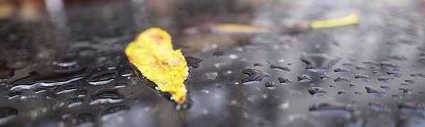 В выходные дни погода в Приморье снова ухудшится