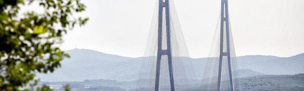 Мост на остров Русский лидирует в конкурсе на изображение на новой купюре 