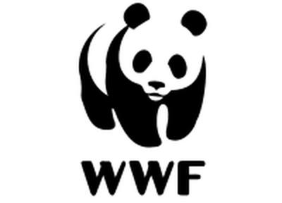 WWF 50 лет