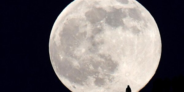 Волчья Луна: первое полнолуние 2022 года в фотографиях