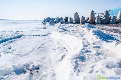 Толщина льда в Заливе Петра Великого 40 — 50 см
