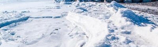 Площадь и толщина льда в Заливе Петра Великого нарастает