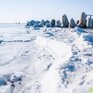 Площадь и толщина льда в Заливе Петра Великого нарастает
