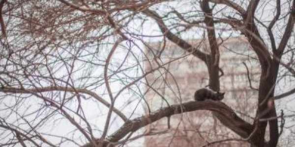 Погода на выходные: в Приморье начнет теплеть