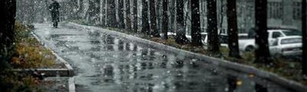 Дождь, переходящий в снег, сильный ветер: всё о погоде в Приморье в начале следующей недели