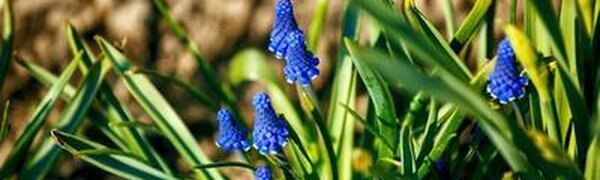 Погода в Приморье на выходных: местами температура поднимется выше +20 °С