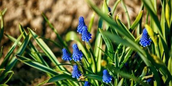 Погода в Приморье на выходных: местами температура поднимется выше +20 °С