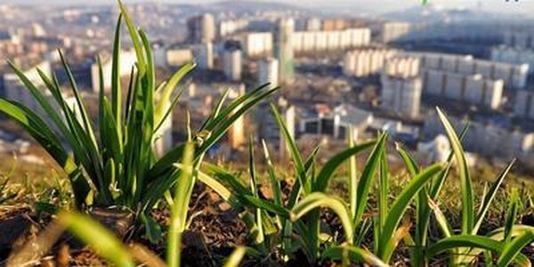 Синоптики рассказали о погоде в Приморье на этой рабочей неделе