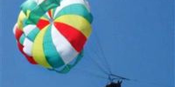 Ослица с парашютом попала в кремлевские конюшни