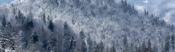 Погоду почти по всему Дальнему Востоку формирует мощный сибирский антициклон