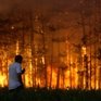 Лесные пожары бушуют в России(ФОТО)