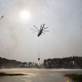 Лесные пожары бушуют в России(ФОТО)