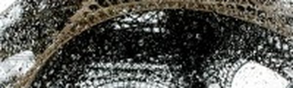 Пример для подражания: «Париж под дождем»