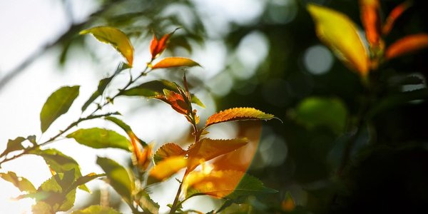 Завтра днём погода в Приморье улучшится