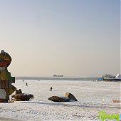 Зимнее тепло во Владивостоке(ФОТО) 