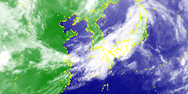 Дожди в Приморье прекратятся 5 июля