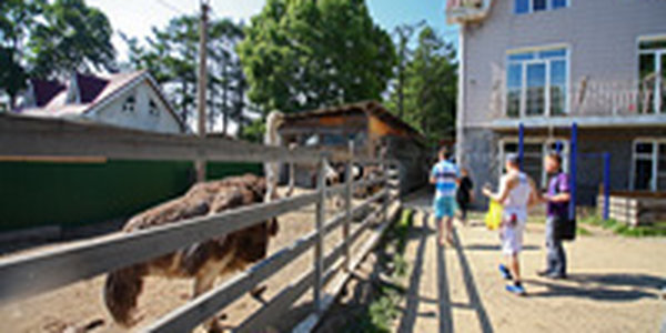 Отличное настроение в пасмурный день