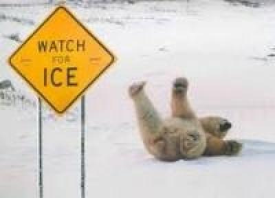 Приморье во власти южного циклона