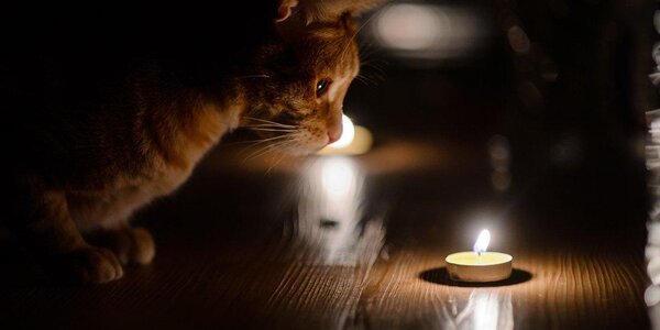 Непогода оставила приморцев без света