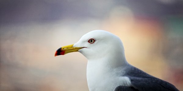 В выходные дни в Приморье пройдут кратковременные дожди