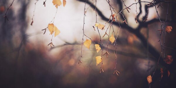 На выходных в Приморье похолодает. Подробный прогноз погоды