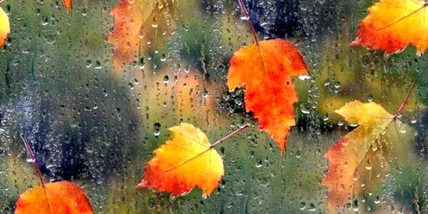 Ноябрь в Приморье начался с дождливой погоды