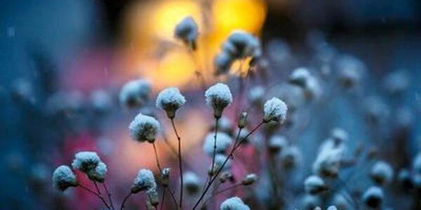 Прохладная погода ожидается в Приморье на праздничных выходных